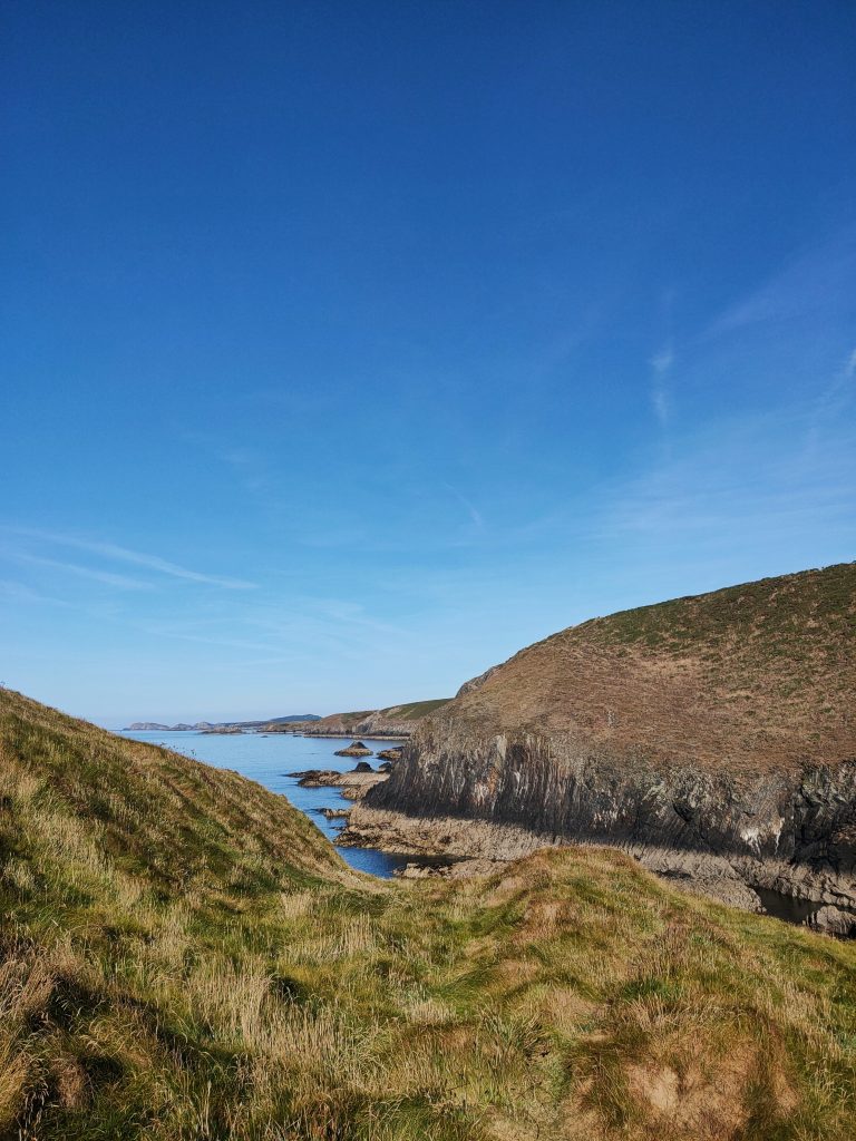 View across rugged cliffs out to sea with many small headlands jutting out into the sea in the distance, with a grassy clifftop in the foreground and blue skies above and calm seas below. Location pictured is Solva, Pembrokeshire