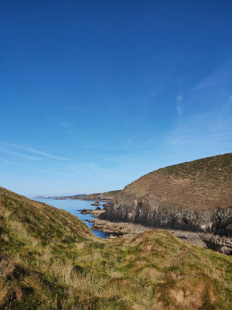 View across rugged cliffs out to sea with many small headlands jutting out into the sea in the distance, with a grassy clifftop in the foreground and blue skies above and calm seas below. Location pictured is Solva, Pembrokeshire