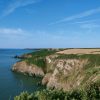 View across a number of small headlands extending out into the calm blue sea on a sunny day with blue skies above. The clifftops are covered with a smattering of green grass and gorse with yellow dry fields behind. Location pictured is St Anne's Head, Pembrokeshire