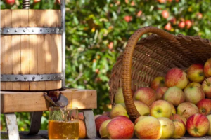 Apple pressing