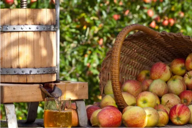 Apple pressing