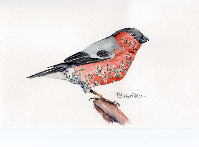 Image of Bullfinch by Judy Maynard