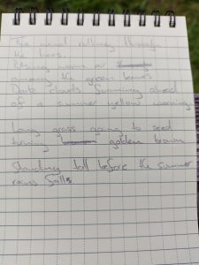 Poem written in a notebook. It reads: The wind rolling through the trees Pulsing warm air among the green leaves Dark clouds forming ahead of a summer yellow warning.  Long grass going to seed turning golden brown Standing tall before the summer rain falls