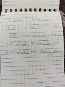 poem written in a notebook. It reads: I wish I was...  I wish I was a little bee With hairs upon by tummy I&#039;d climb into a honey pot and make my tummy gummy