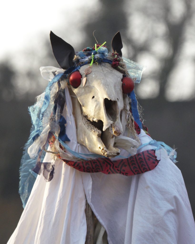 The Mari Lwyd a person carrying a horses skull wrapped in a white sheet