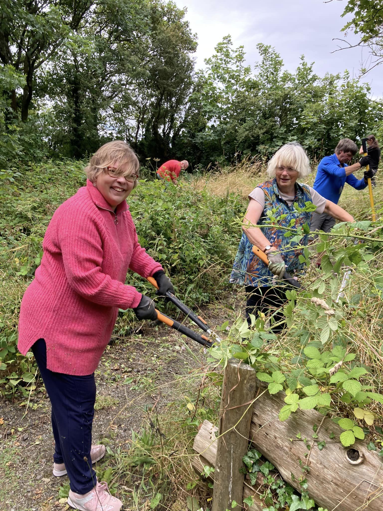 People trimming back hedgerow 