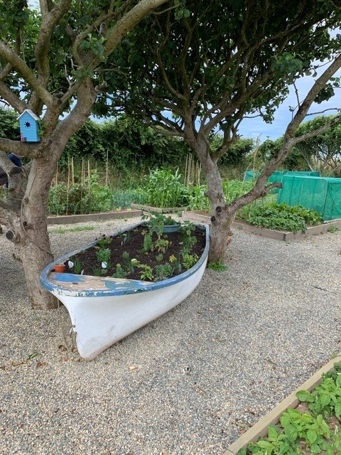 image of raised bed