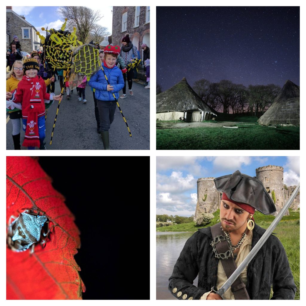 A collage of four photos, showing children at the head of the St David's Day Dragon Parade, dark skies over Castell Henllys roundhouses, a bioluminescent insect on a leaf, and a pirate outside Carew Castle.