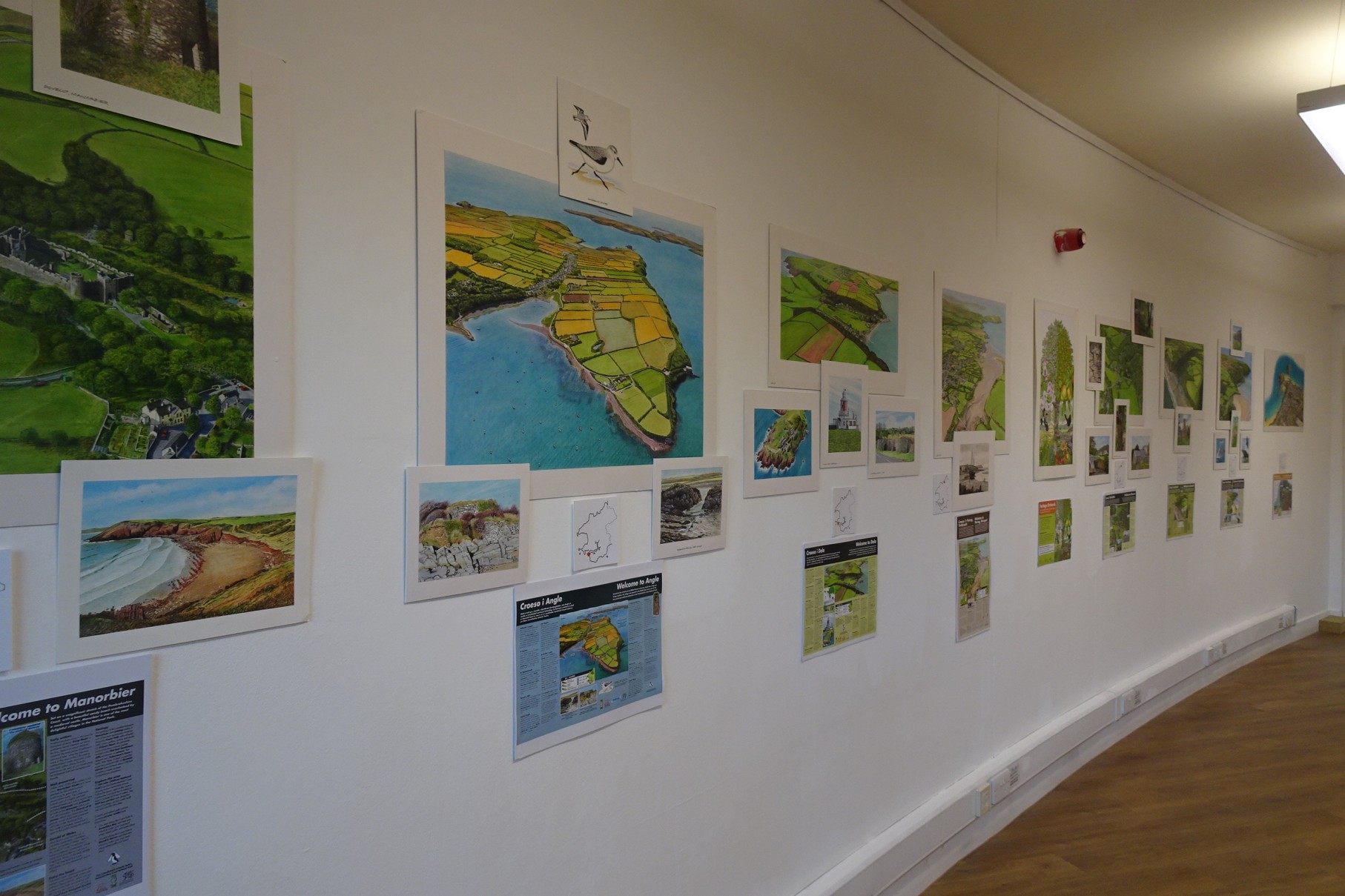 A photo of some of Graham's illustrations on display at the Art in the Park exhibition