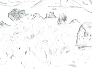 Picture4