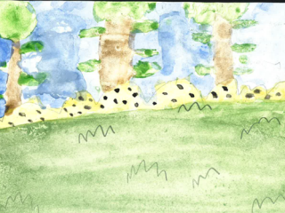 Picture5