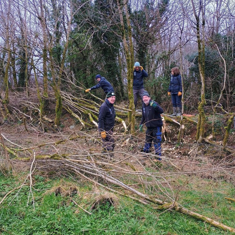 Volunteers with the Pathway project clearing branches and undergrowth in a forest.