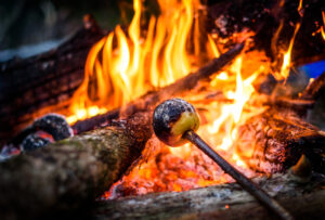 Image of an apple roasting over a fire