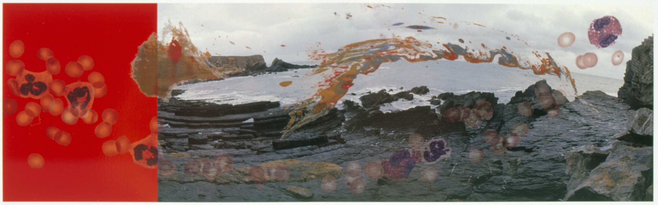 Image of Helen Chadwick Viral Landscape No3